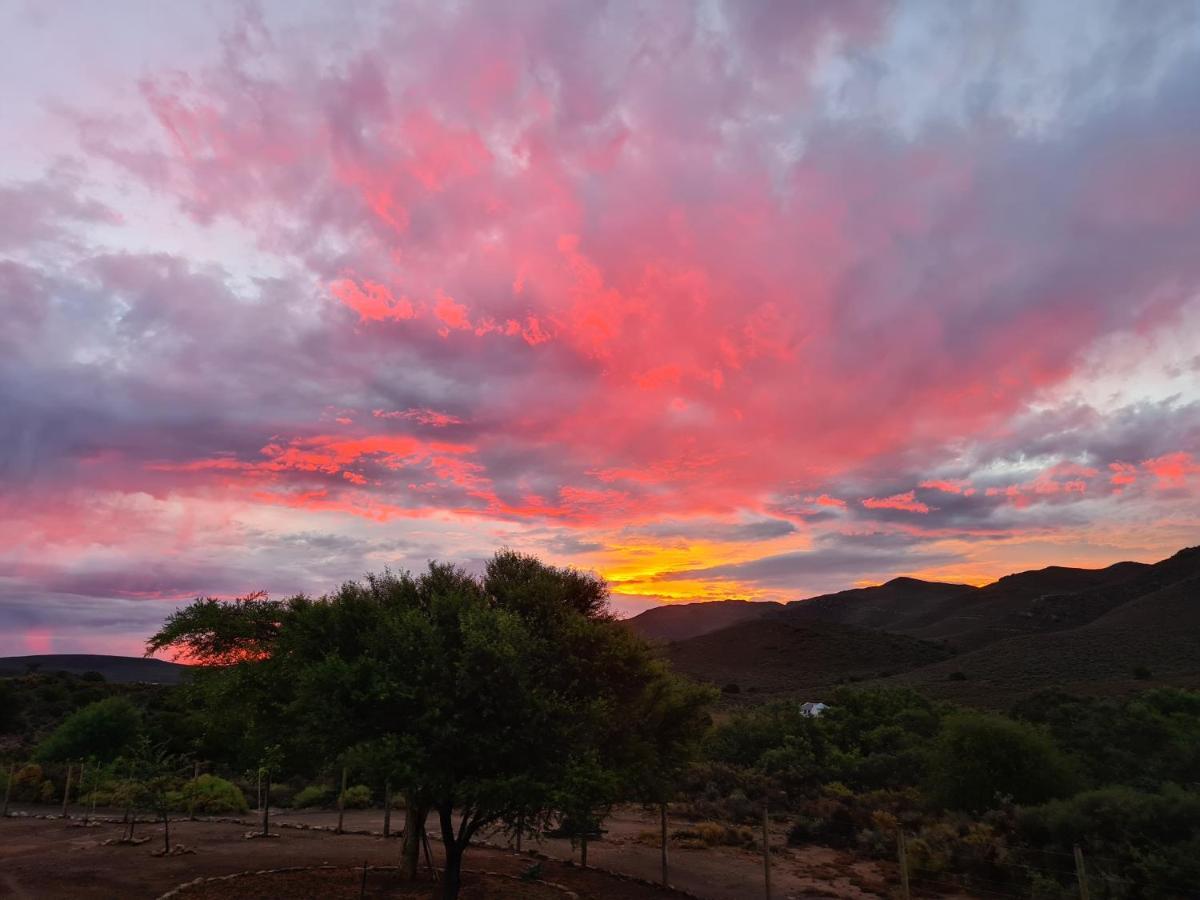 African Game Lodge Montagu Exterior photo